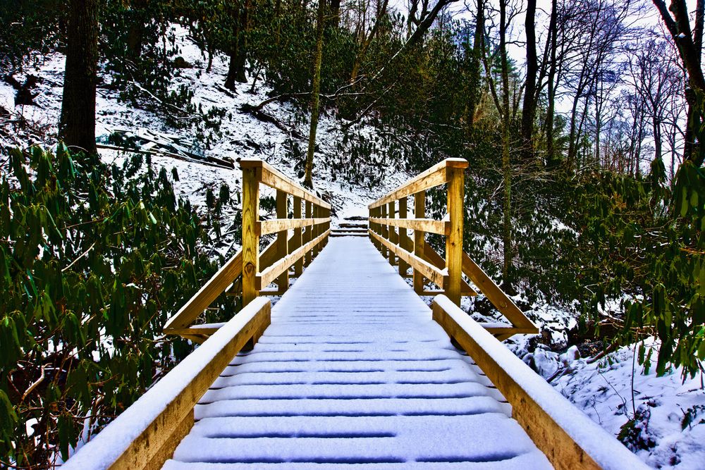 Wooden bridge along Glen Burney Trail