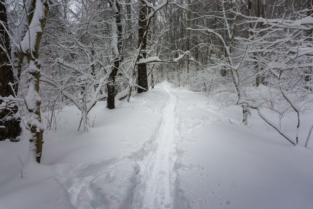 Snow covered Glover Archbold Park