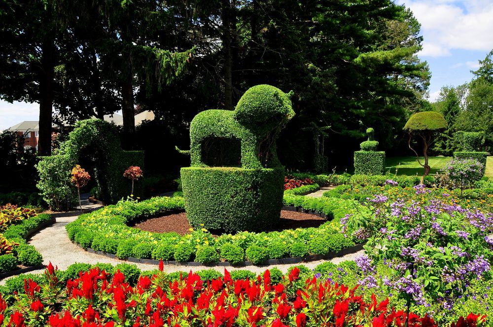 Lion topiary at Green Animals Topiary Garden, Portsmouth