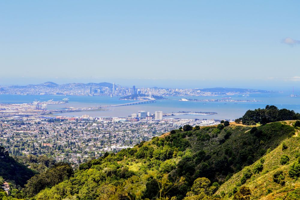 The view from Grizzly Peak