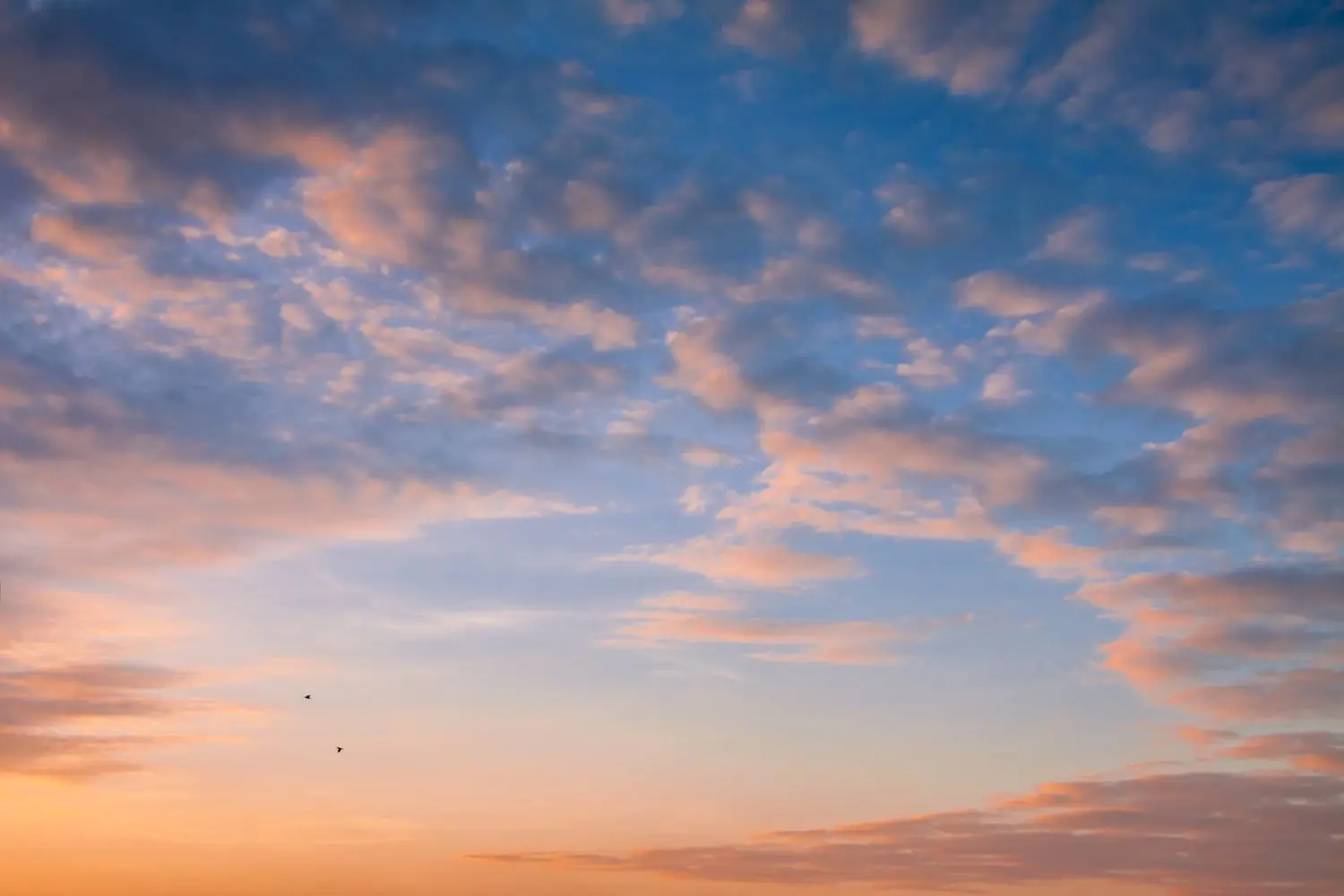 20 Best Things to Do in Grovetown, GA