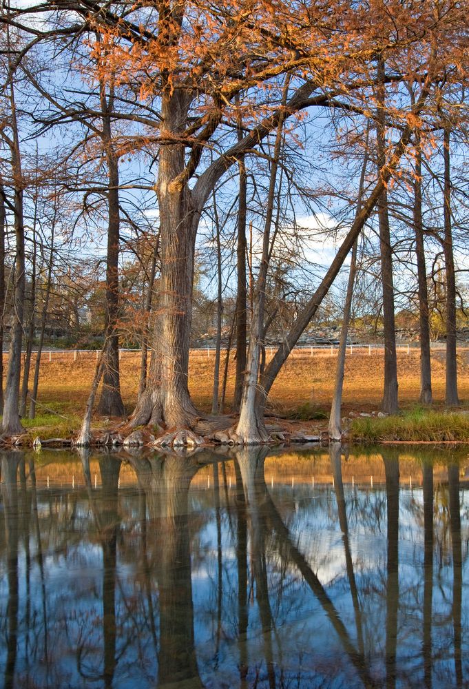 Guadalupe River during autumn