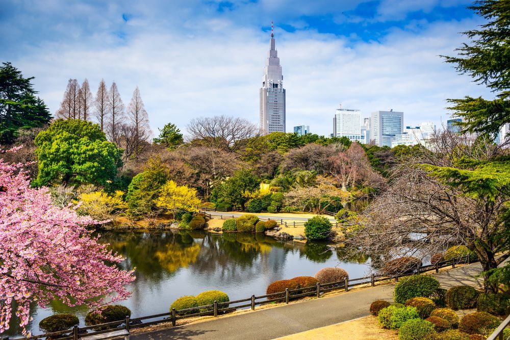 Shinjuku Gyoen Park