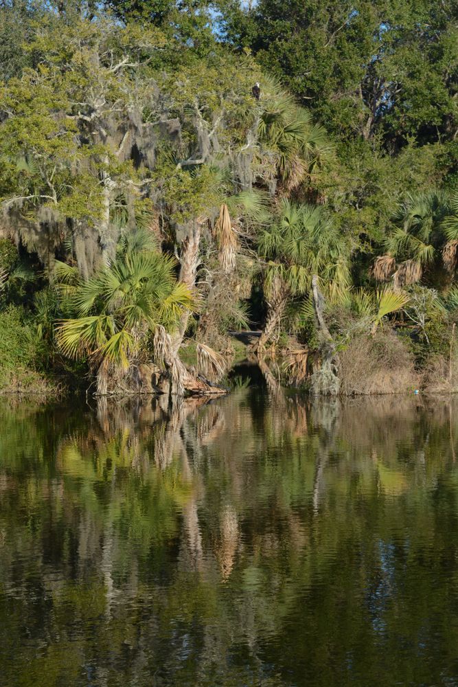 Scenic view of Hanna Park