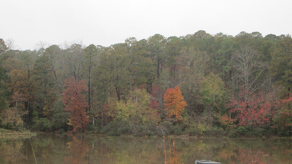 Lake at Hard Labor Creek State Park