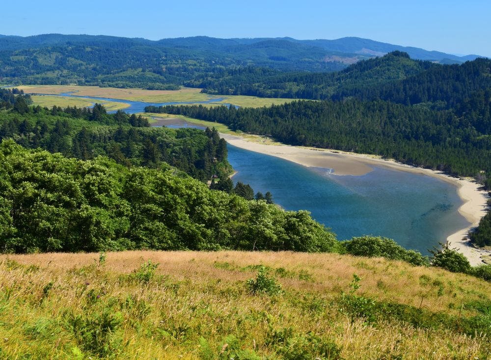 Bird's eye view of the river from Hart’s Cove