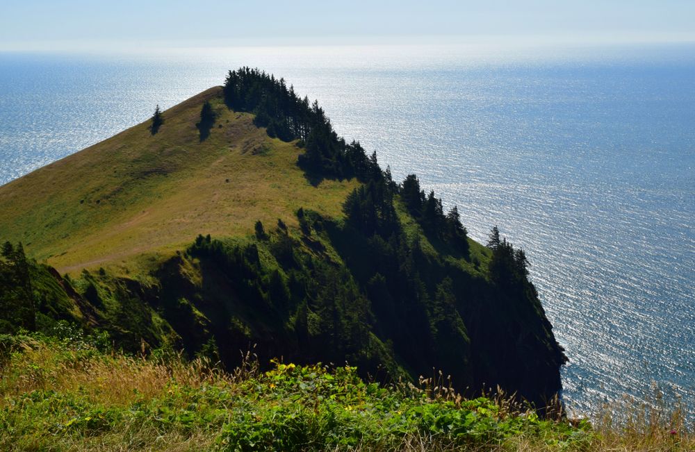 View of the ocean from Hart’s Cove