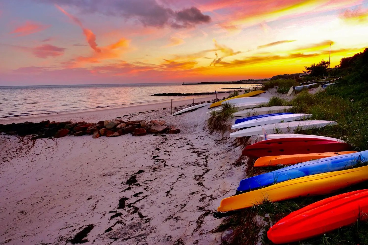 15 Best Things to Do in Harwich, MA