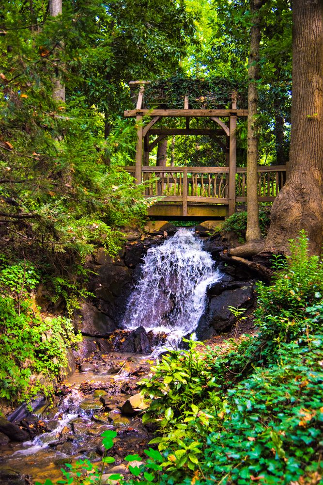 Small waterfall and a bridge passing over it at Hatcher garden and Woodland Preserve