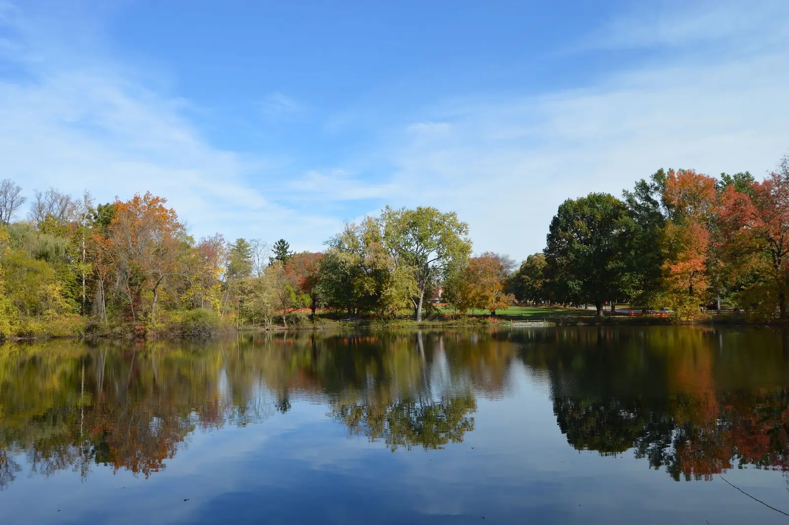 15 Best Things to Do in Haverford, PA
