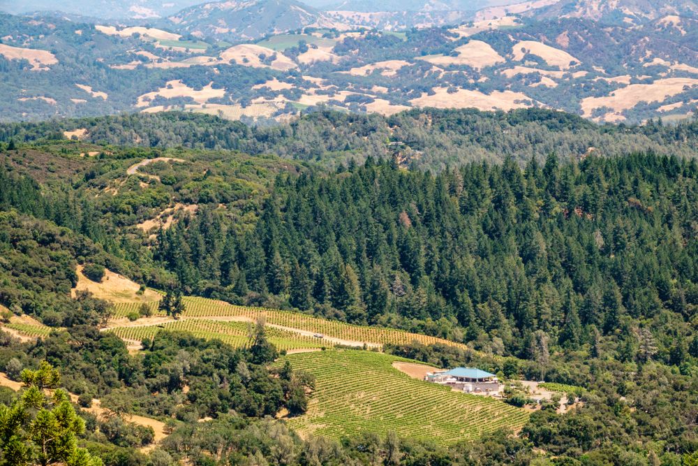 Stunning view of Healdsburg Countryside
