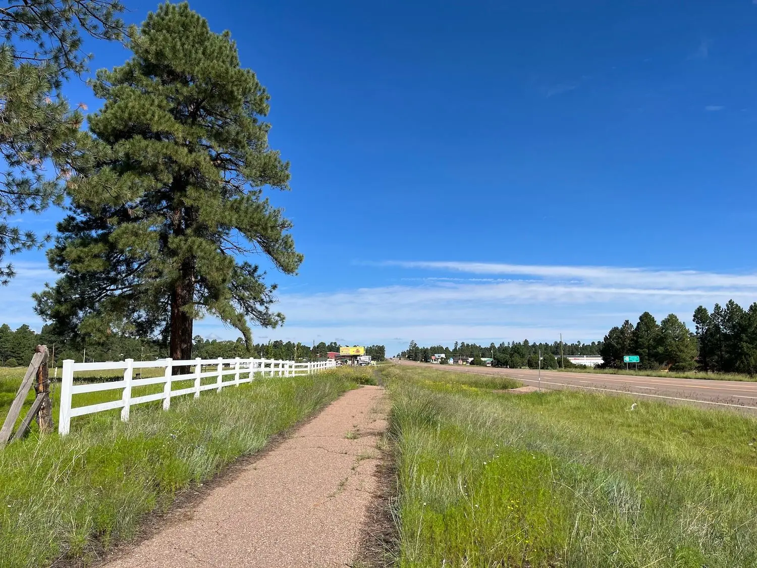 15 Best Things to Do in Heber-Overgaard, AZ