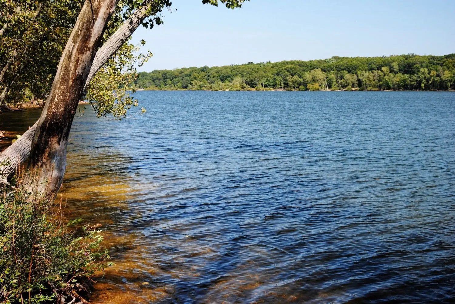 15 Free Things to Do in Hempstead, NY