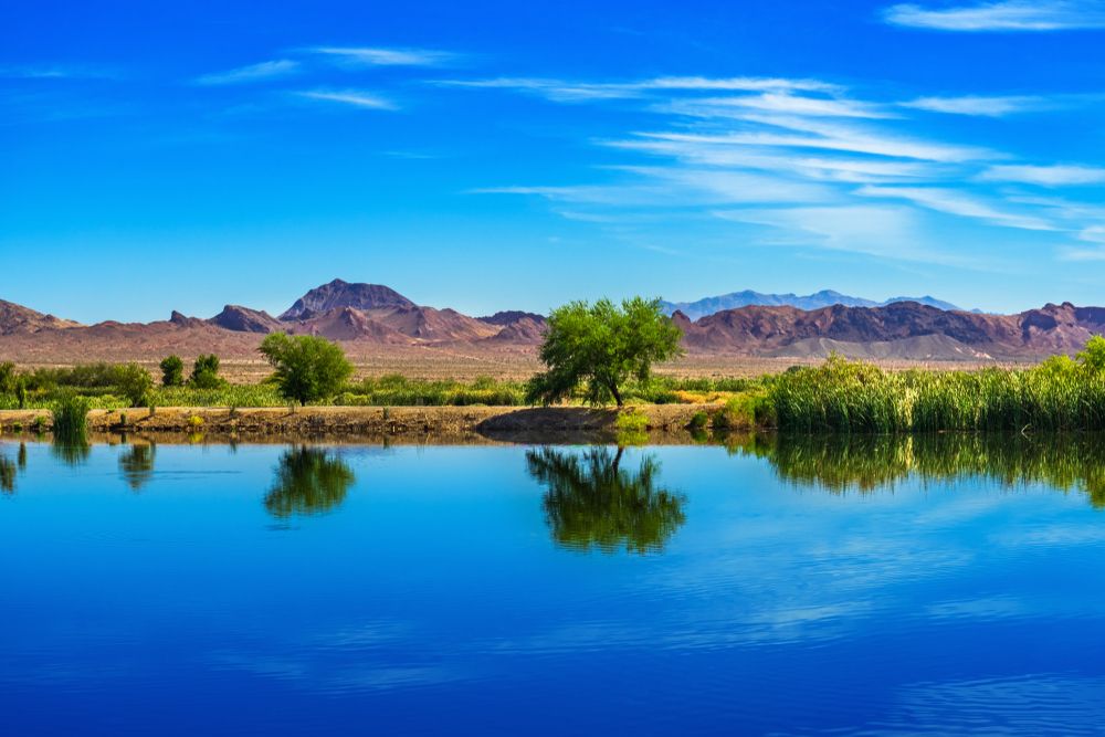 Henderson Bird Viewing Preserve