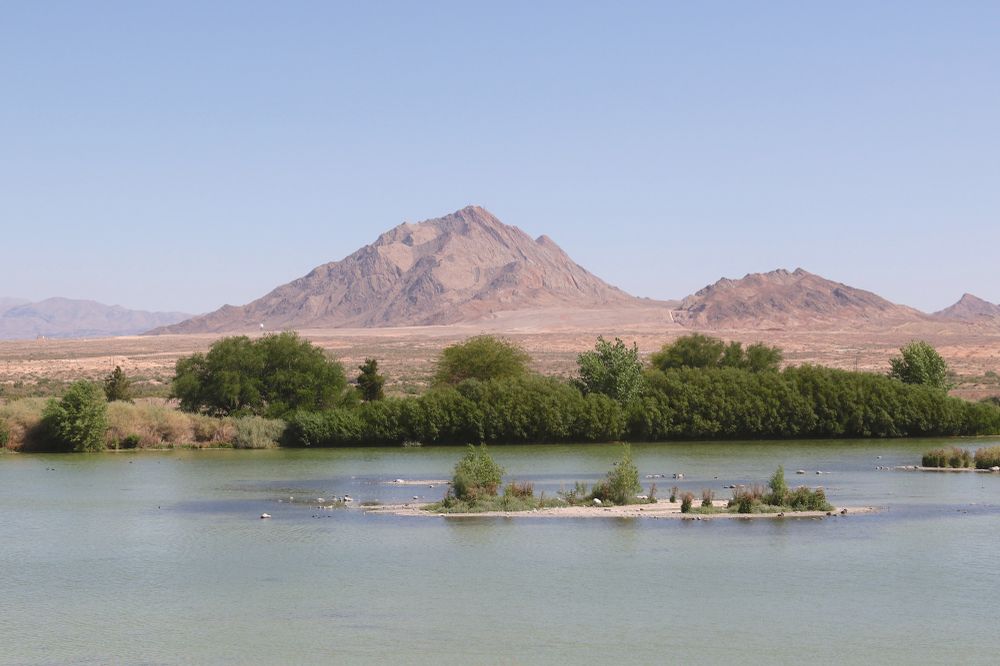 Scenic View of Henderson Bird Viewing Preserve
