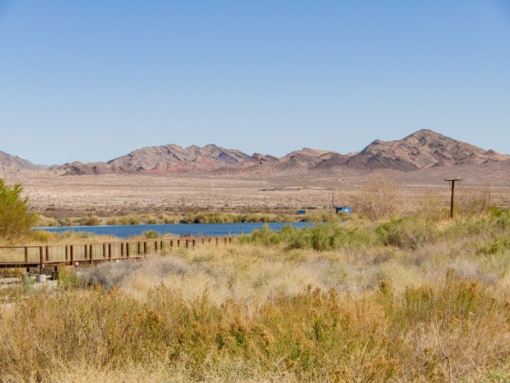 Henderson Bird Viewing Preserve