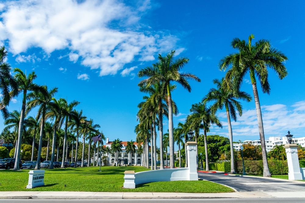 Palm trees lined up in the entrance of Henry Morrison Flagler Museum
