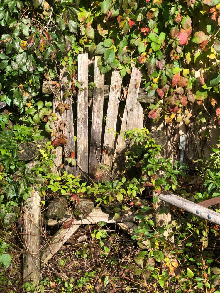Plants at Hidden Cove Orchard