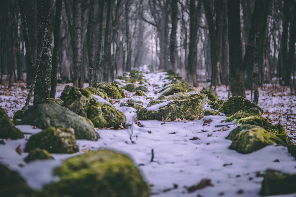 Snow-covered trail of High Cliff State Park
