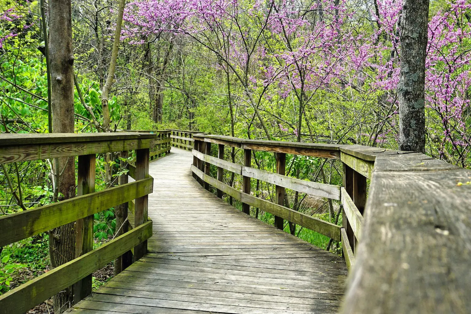 15 Best Things to Do in Hilliard, OH