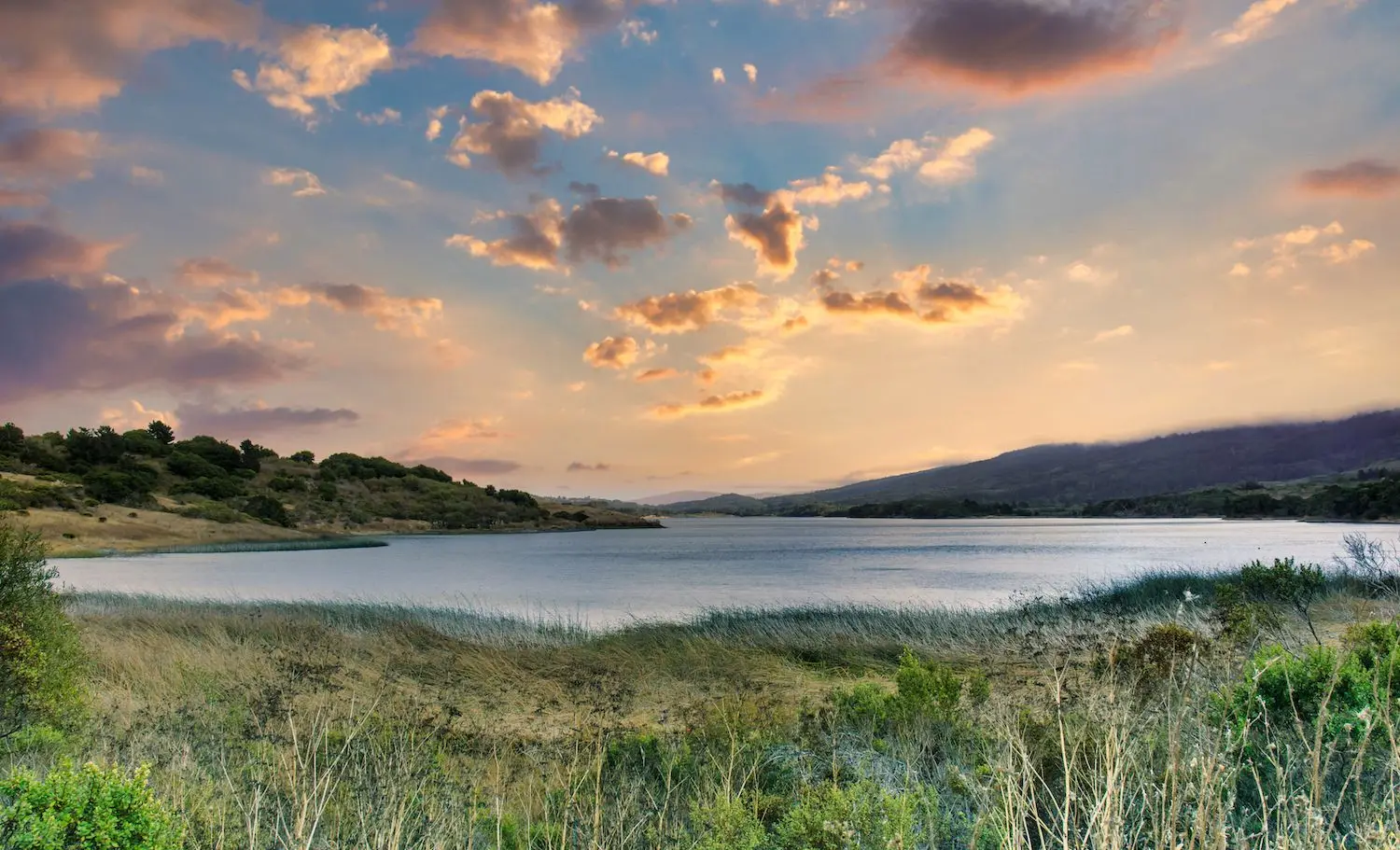 20 Best Things to Do in Hillsborough, CA