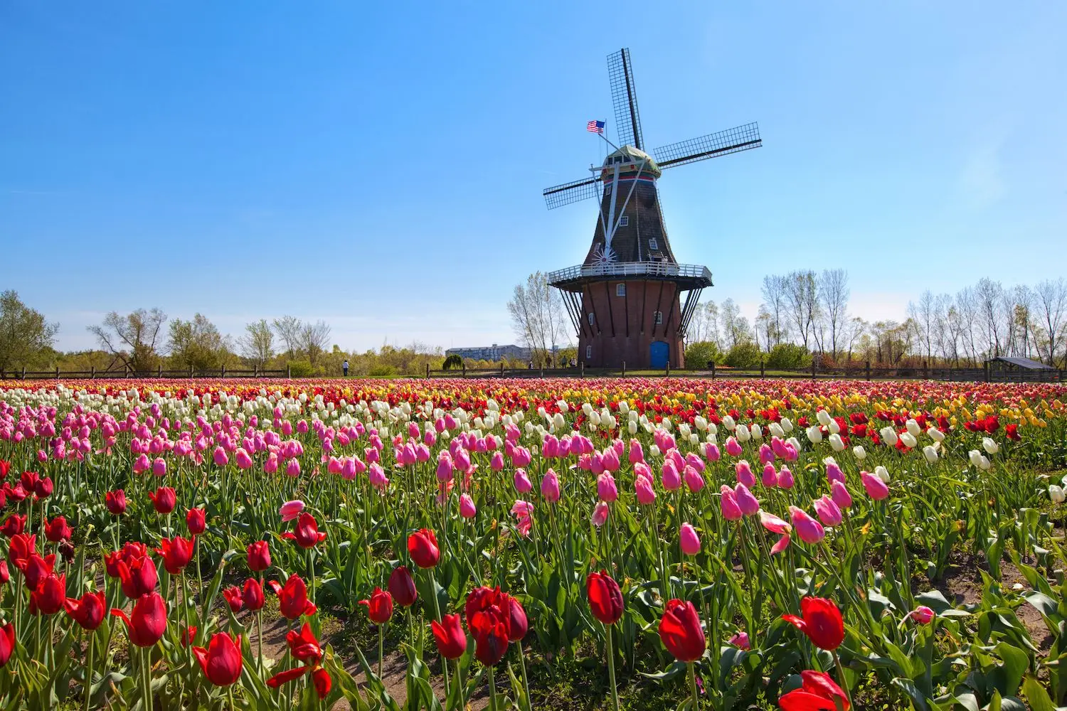 15 Best Things to Do in Holland, MI