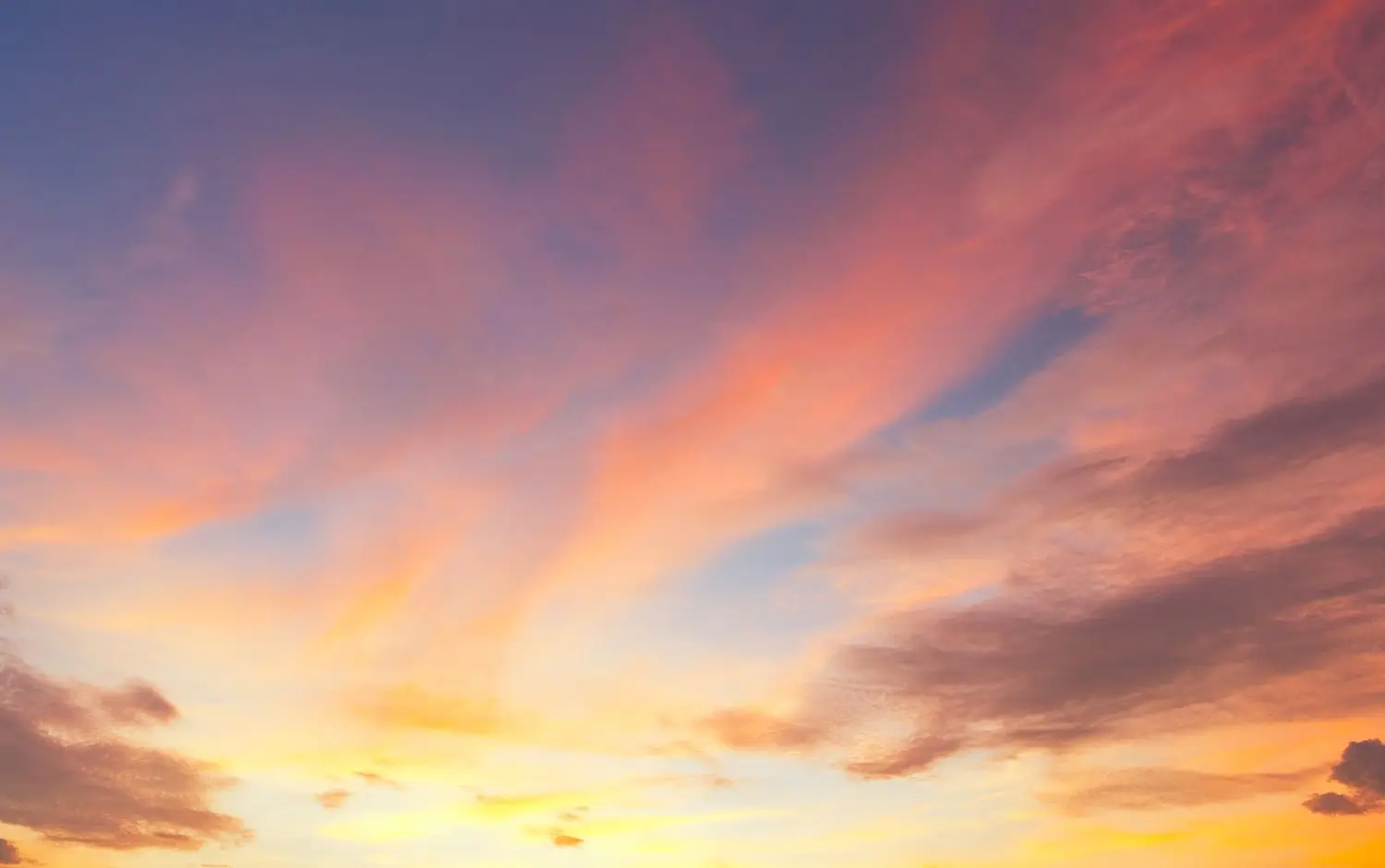 15 Best Things to Do in Hollister, CA
