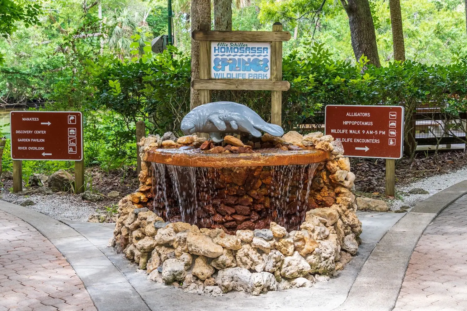 15 Best Things to Do in Homosassa Springs, FL