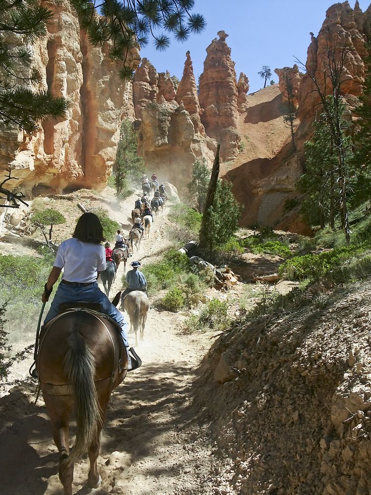 Horseback riding at Bryce Canyon