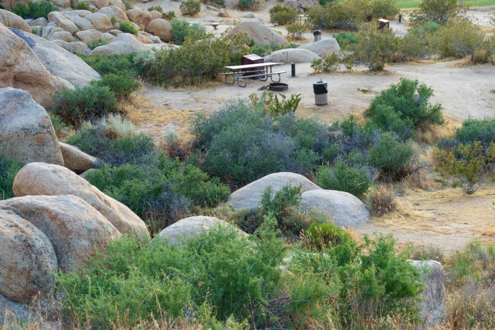 Picnic area at Horsemen's Center Park