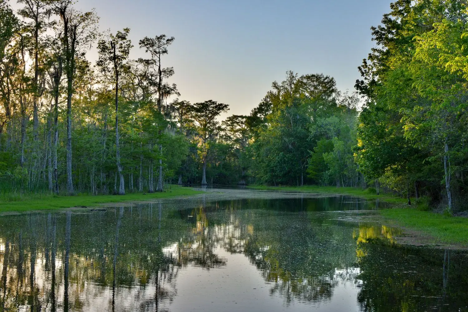 20 Best Things to Do in Houma, LA