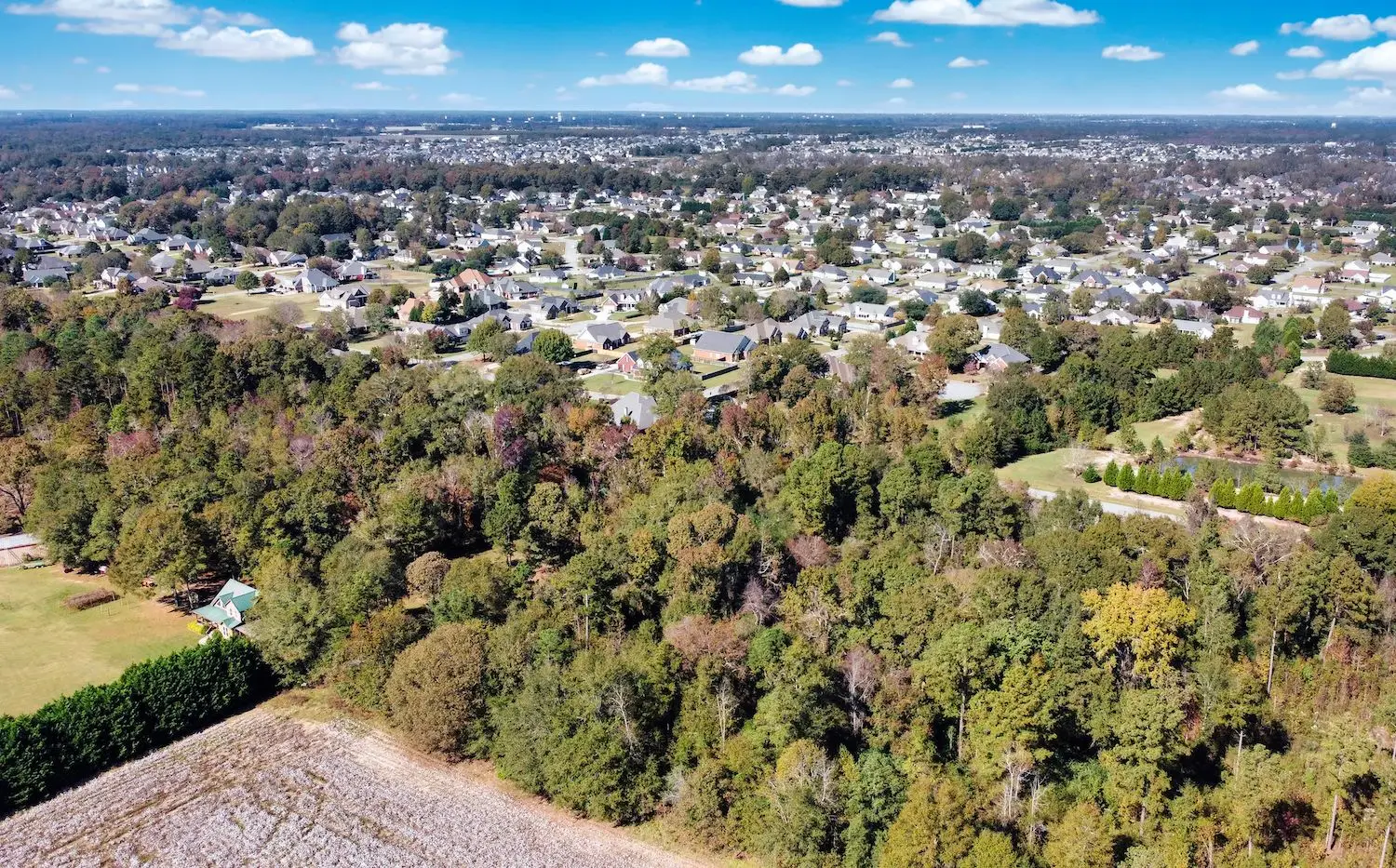15 Best Things to Do in Houston County, GA