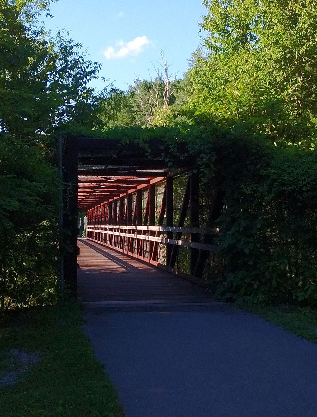 View of Huckleberry Trail