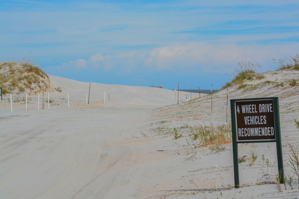 Sand dunes at Huguenot Memorial Park