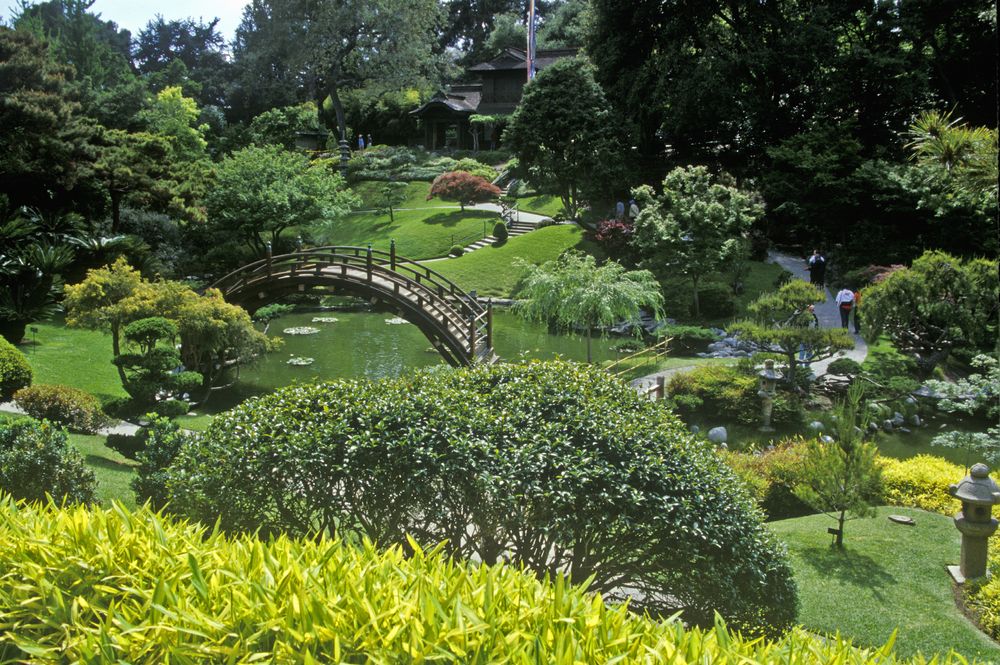 Plants, trees, pond and wooden bridge at Huntington Library and Gardens