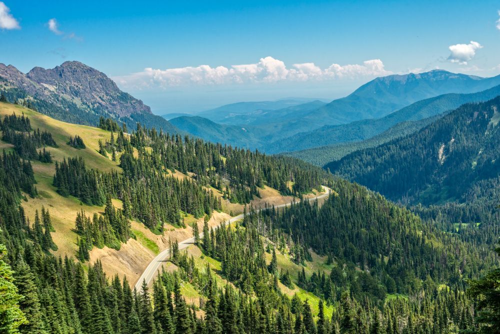 Aerial view of the Hurricane Ridge