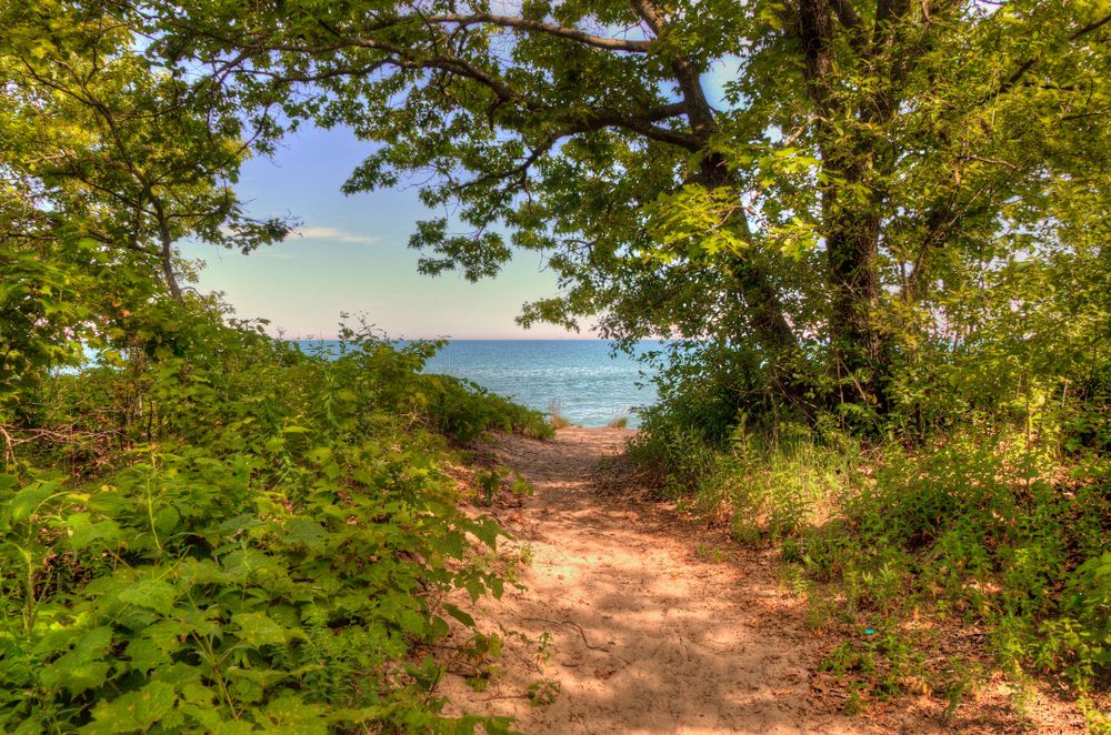 View of a trail at Illinois Beach State Park