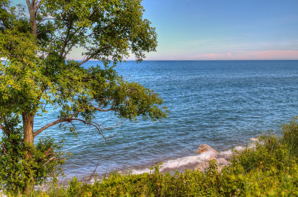 Scenic view of Illinois Beach State Park