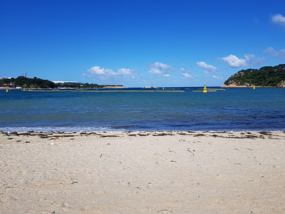 Daytime view of Ilsan Beach