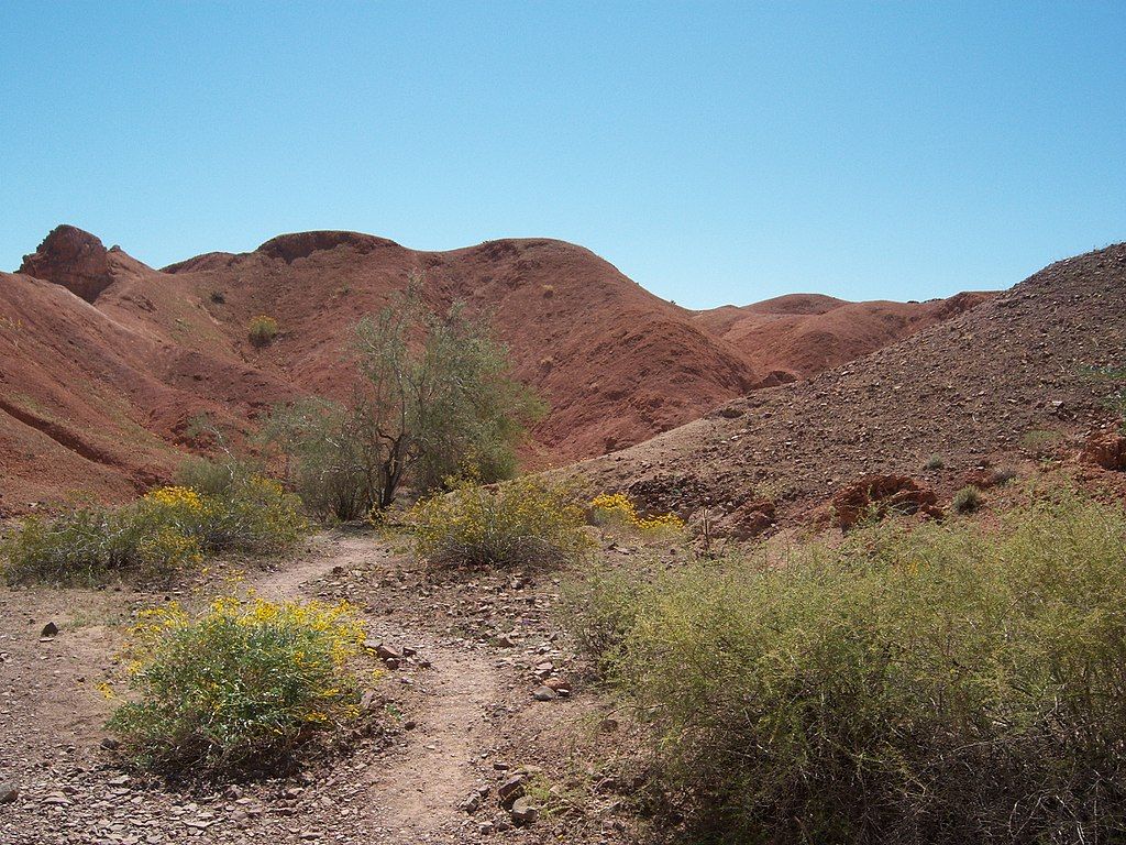 A trail at Imperial National Wildlife Refuge