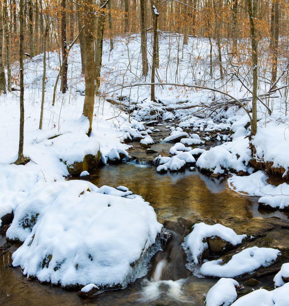 Ivy Creek Natural Area covered with snow