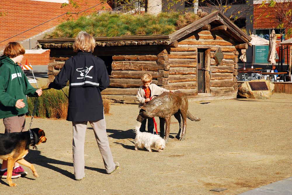 Kids and pets playing near the Jack London Cabin