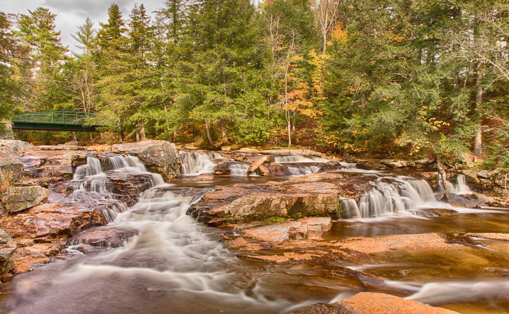 Autumn colored trees near Jackson Falls.
