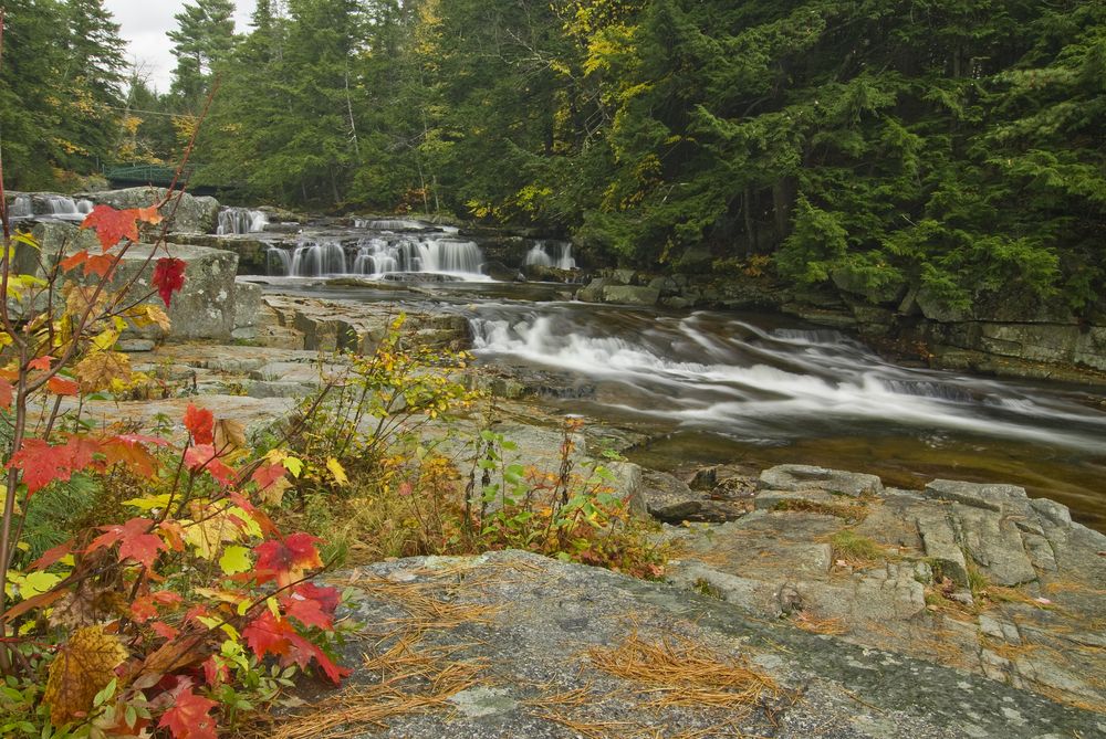 Water downstream from Jackson Falls.