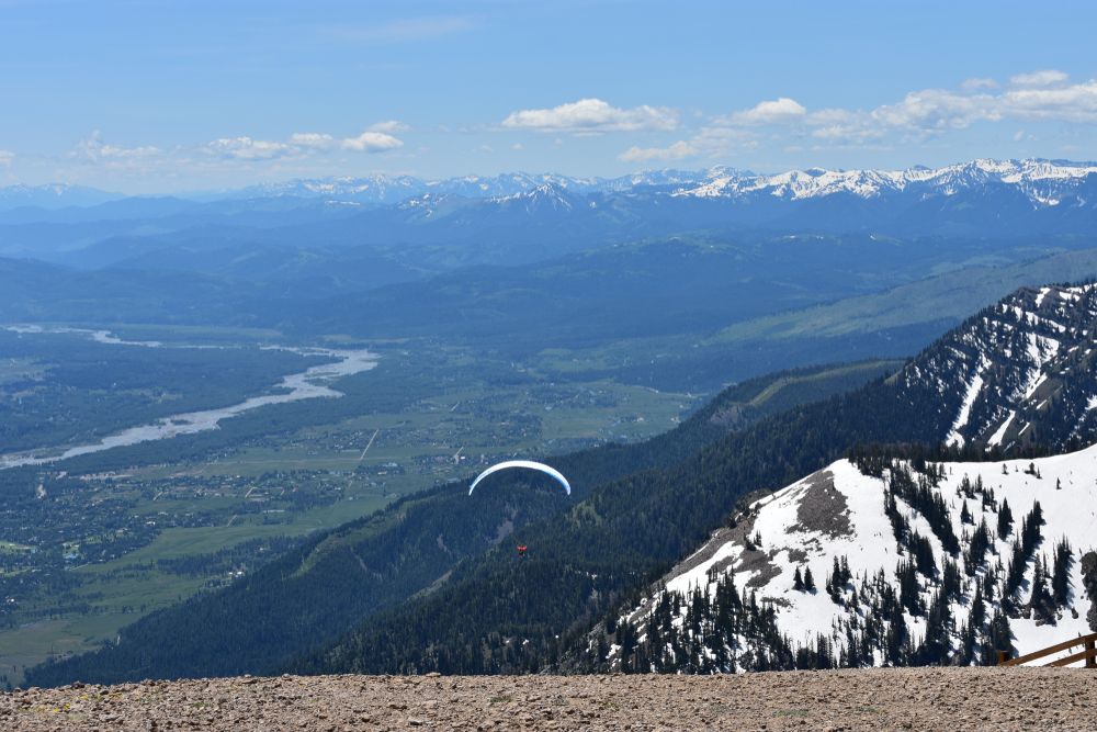 A paraglider flying over the dense trees and snow capped mountains at ParaJackson Hole Paragliding