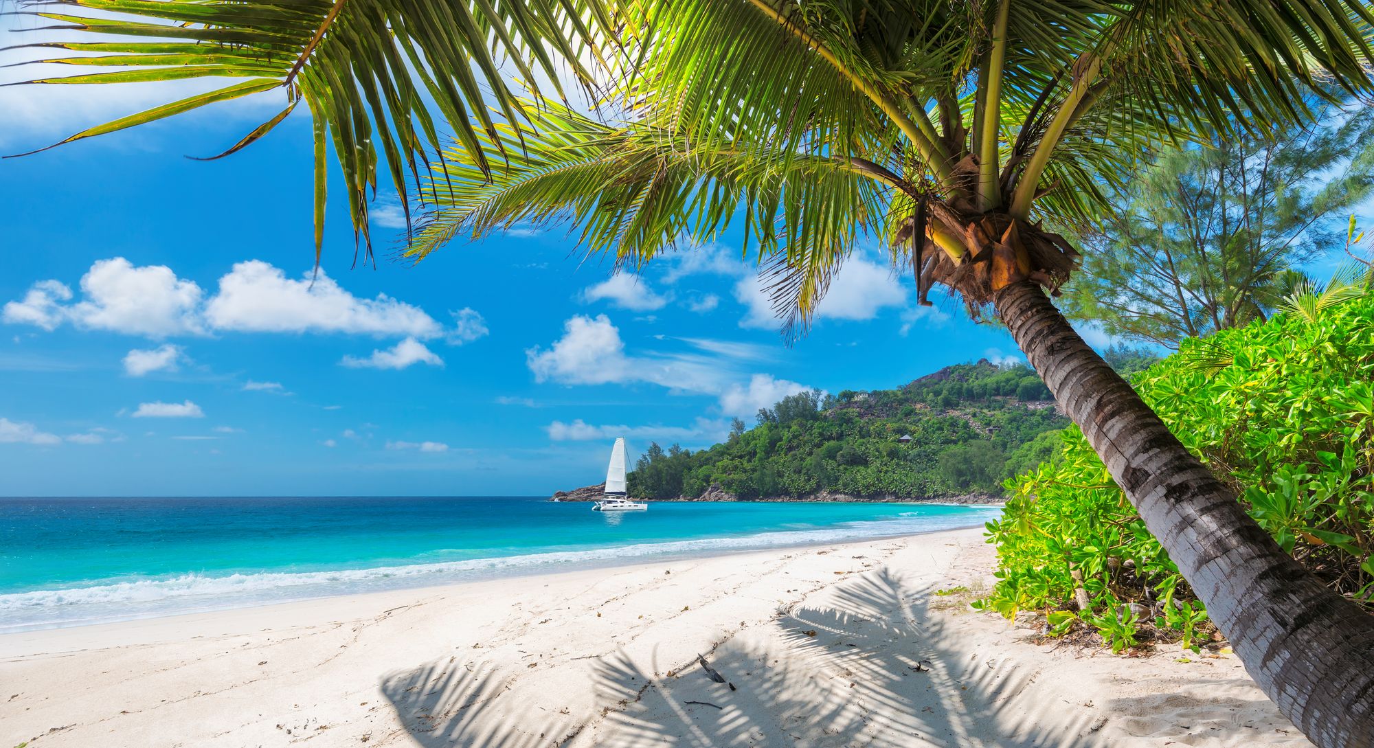 **Jamaica
