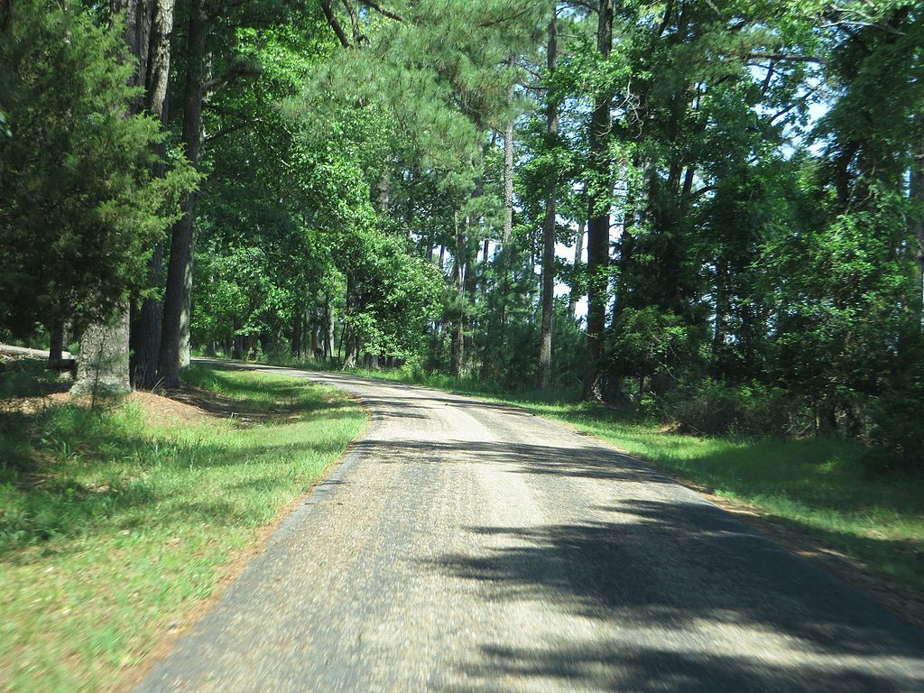 Jamestown Island Drive