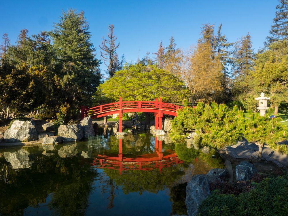 Japanese Friendship garden