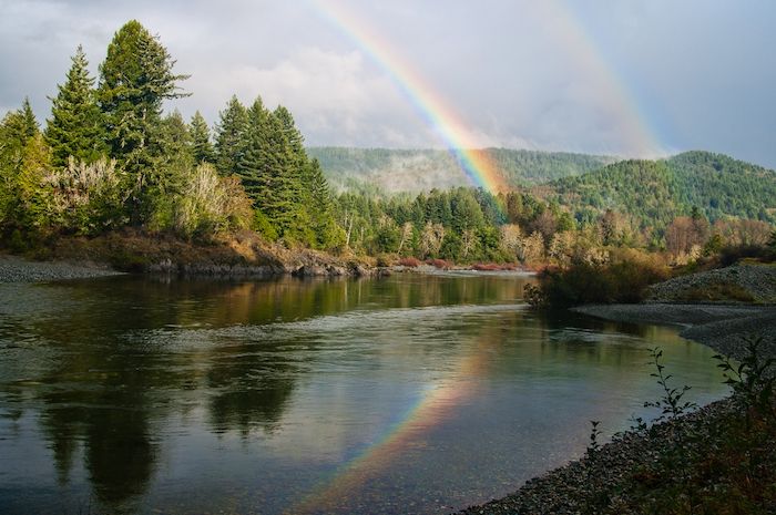 Colorful rainbow in Jedediah Smith Redwoods State Park