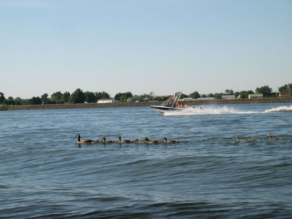 Warer Skiing in the Columbia River